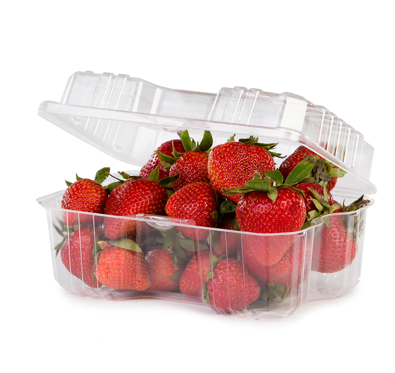 LBH491 Berry Hinged Container 300pcs