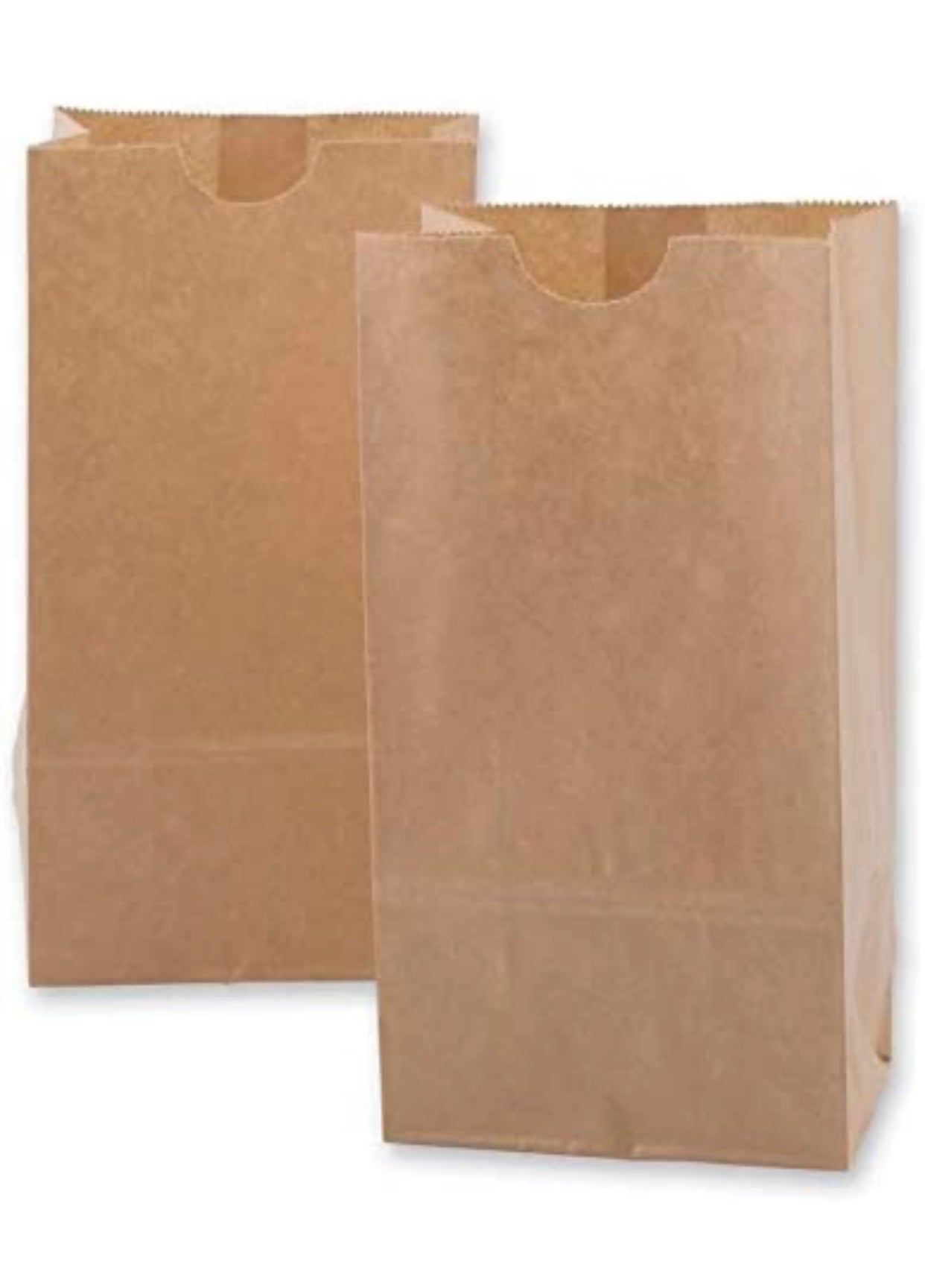 #3 BROWN PAPER BAGS - 1/500