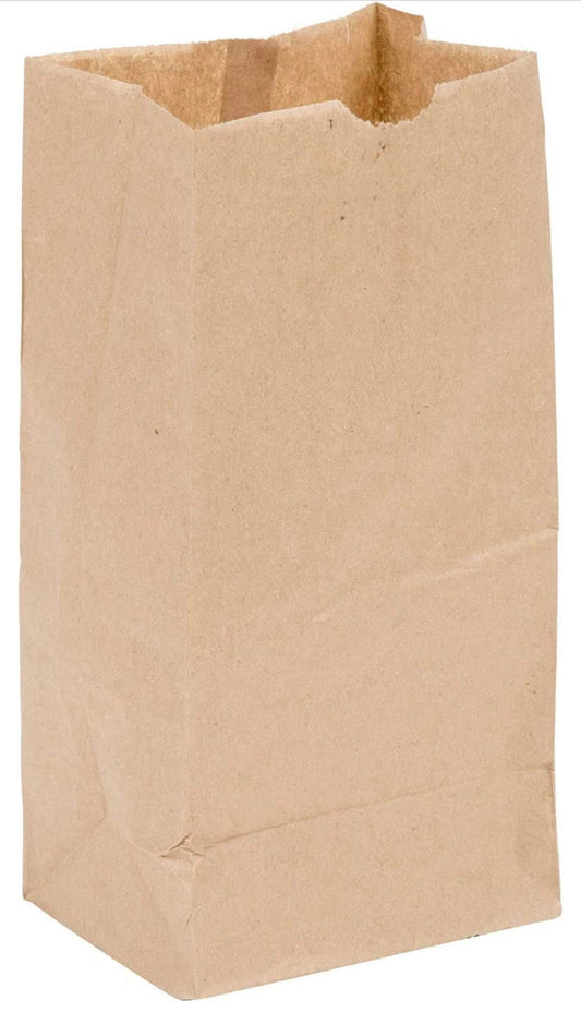 #2 BROWN PAPER BAGS - 1/500