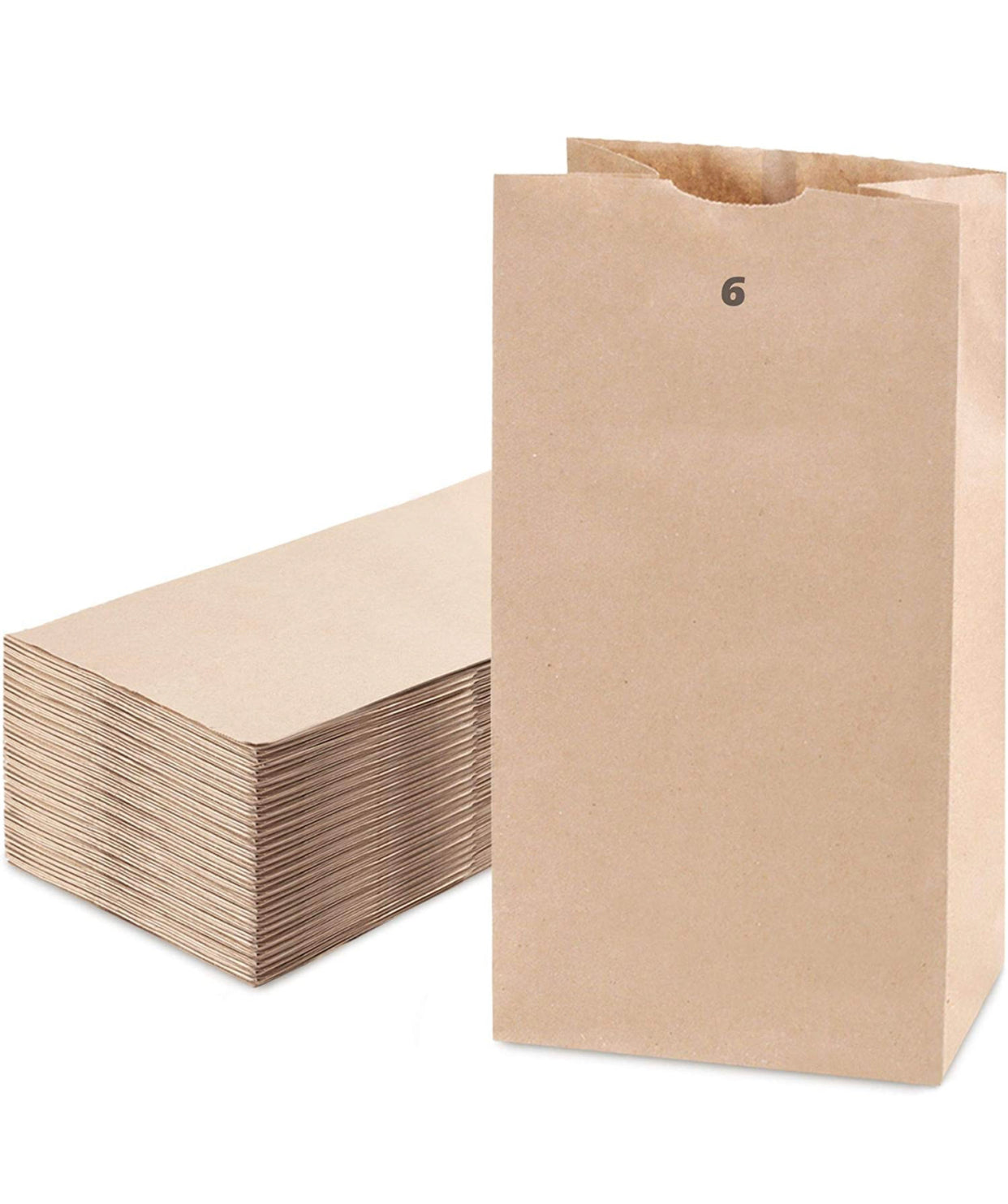 #6 BROWN PAPER BAGS - 1/500