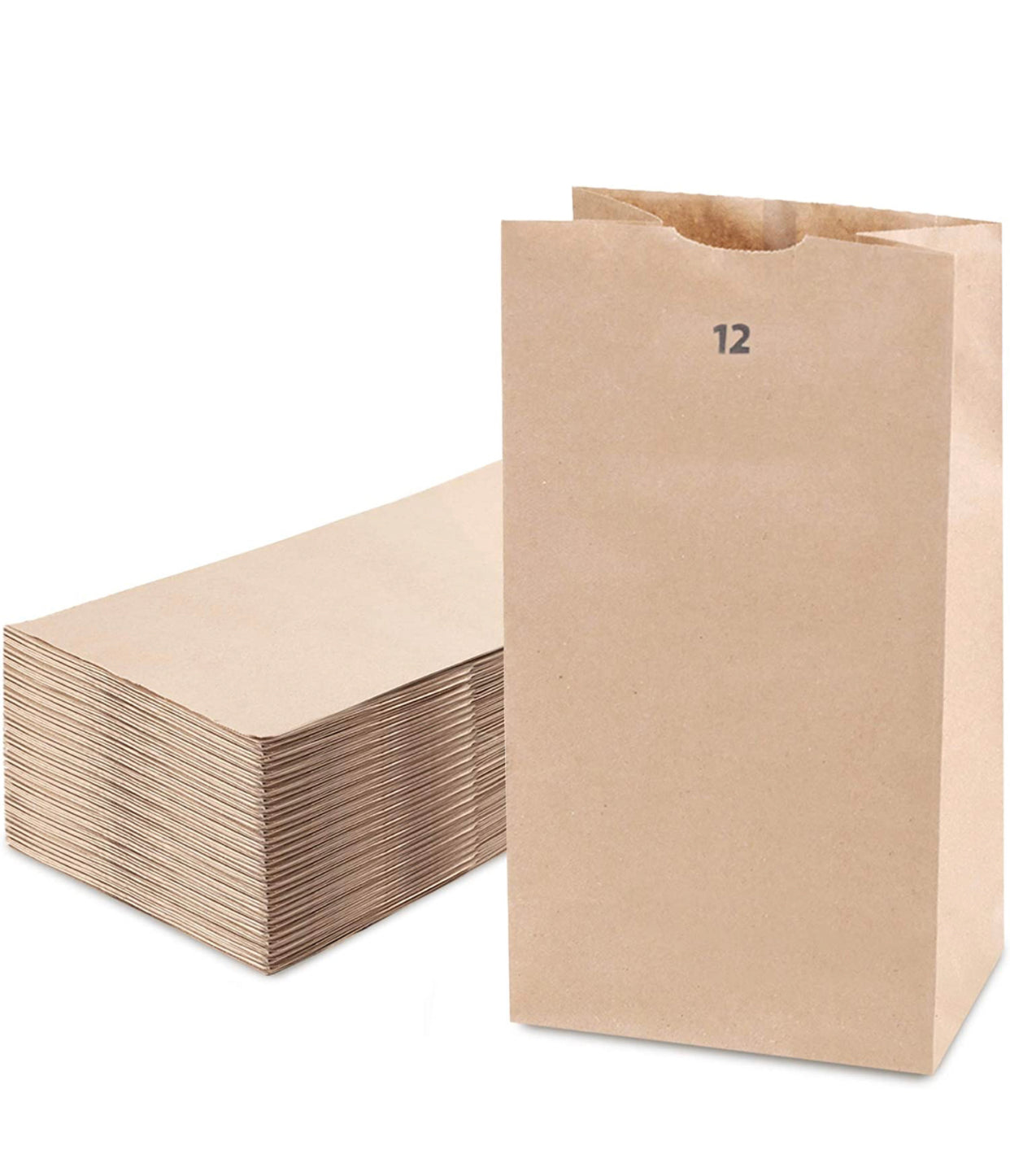 #12 BROWN PAPER BAGS- 1/500